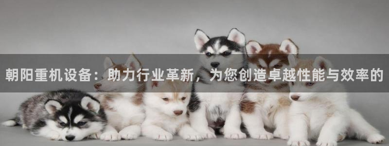 威九国际网站客服电话多少号码