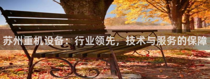 威九国际app网站官网：苏州重机设备：行业领先，技术与服务的