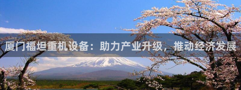 威九国际网页看视频弹窗的广告拦截插件