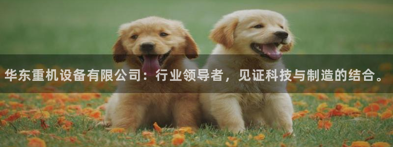 威九国际官方下载