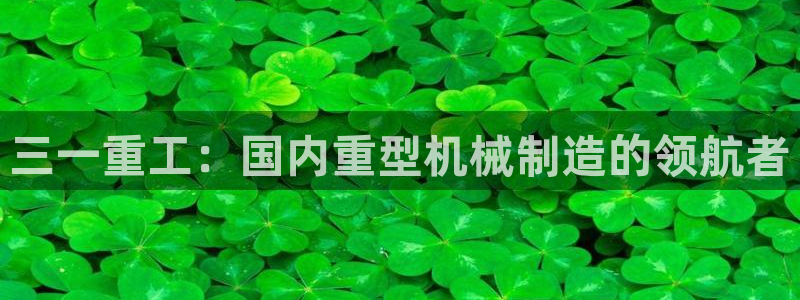 威九国际78mb特点：三一重工：国内重型机械制造的领航者