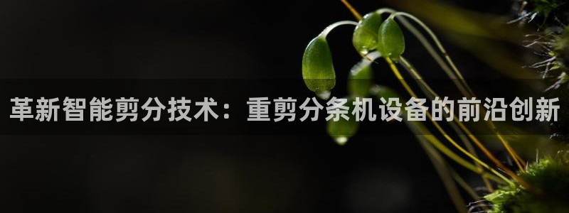 威九国际78mann：革新智能剪分技术：重剪分条机设备的前沿