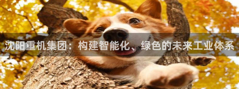 威九国际78mob游戏特色