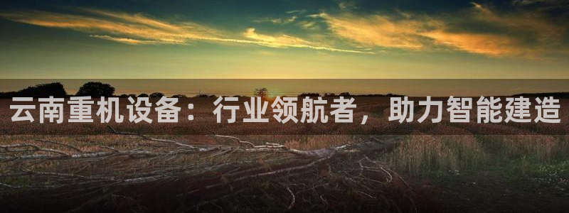 威九国际替好友去