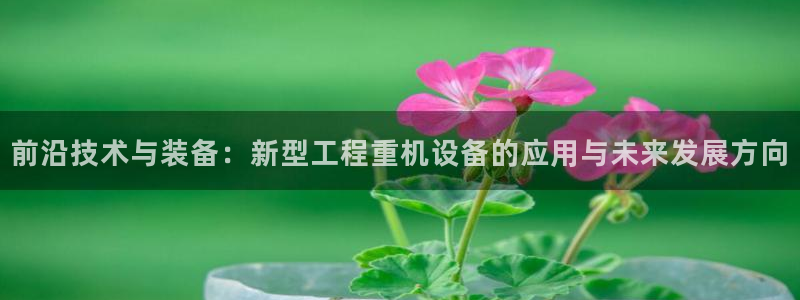 威九国际男主：前沿技术与装备：新型工程重机设备的应用与未来发