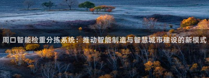 威九国际78mapp官网版下载：周口智能检重分拣系统：推动智