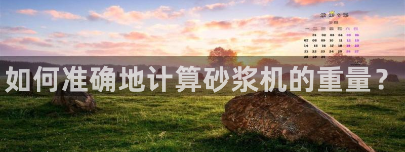 威九国际网站是多少：如何准确地计算砂浆机的重量？