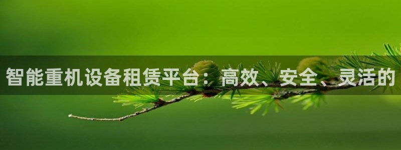 威九国际父亲的友人：智能重机设备租赁平台：高效、安全、灵活的