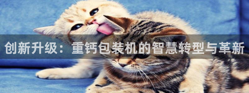 威九国际78mob：创新升级：重钙包装机的智慧转型与革新