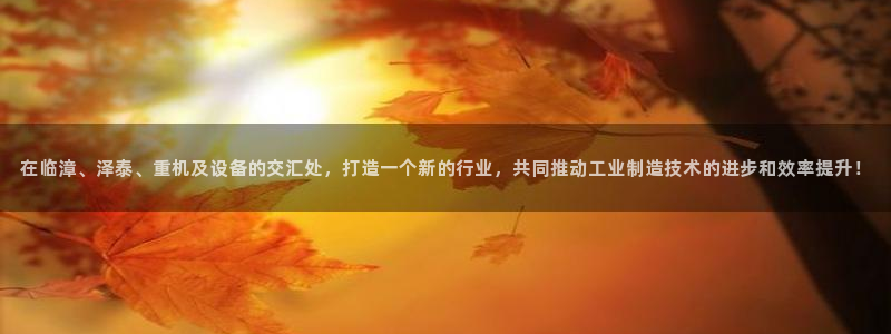 保定威九网络科技有限公司招聘：在临漳、泽泰、重机及设备的交汇