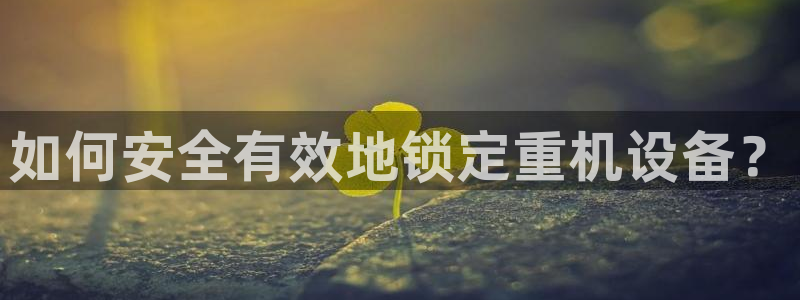 威九国际ft：如何安全有效地锁定重机设备？