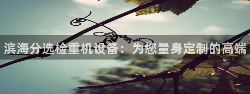 威九国际精选酒店电话：滨海分选检重机设备：为您量身定制的高端