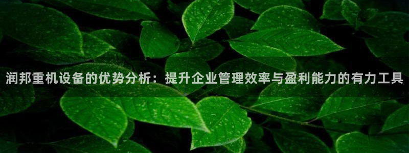 威九国际可以赚到钱