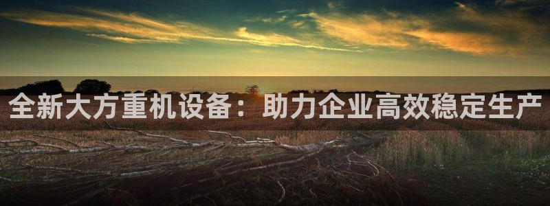 保定威九网络科技有限公司招聘：全新大方重机设备：助力企业高效