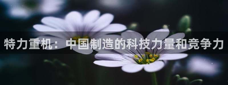 威九国际动漫：特力重机：中国制造的科技力量和竞争力