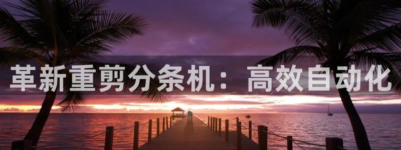 威九国际官网登录入口网址