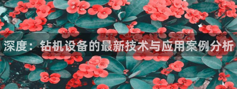威九国际女儿的朋友