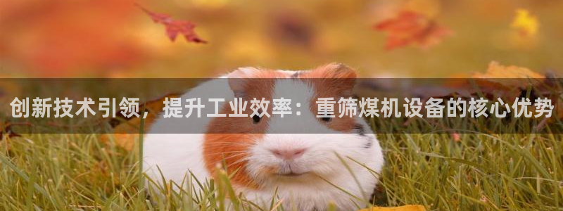 威九国际网站经常打不开网页