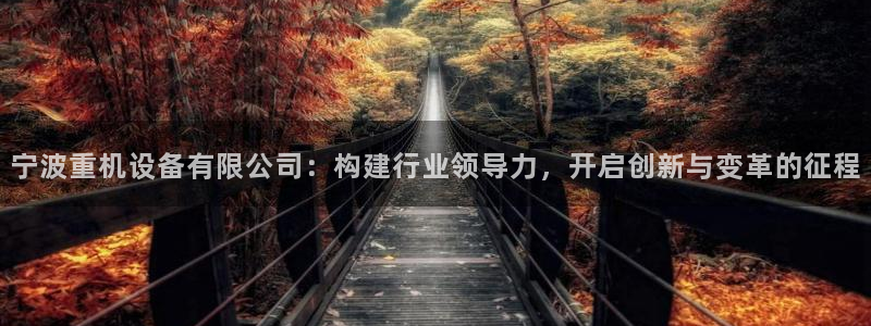 威九国际男主