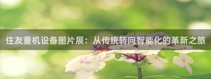 威九国际清砖码头怎么样