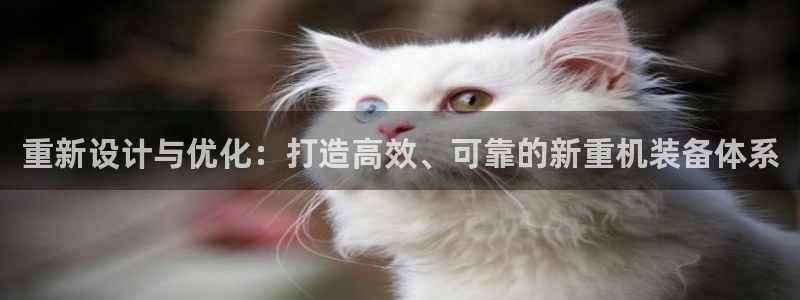 威九国际ppt免费